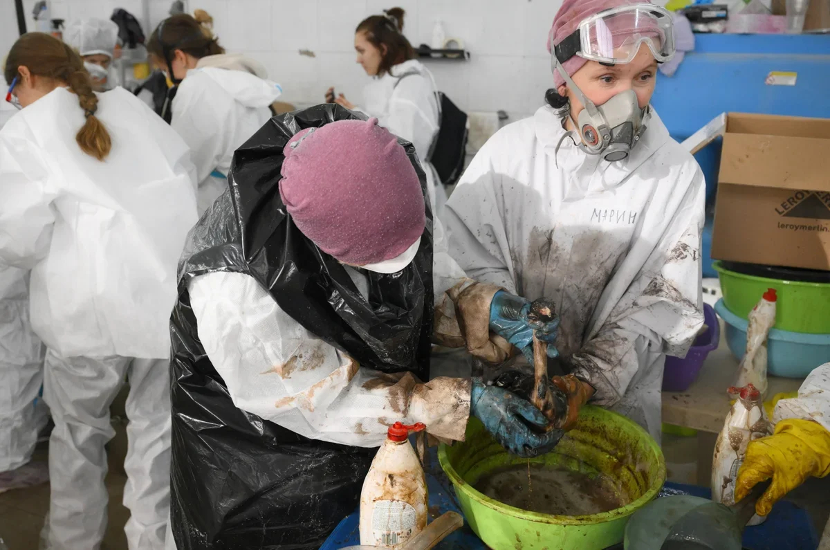 Volunteers clean birds after the Black Sea oil spill, Anapa, Russia, 21 December 2024. Photo: Sergey Pivovarov / Reuters / Scanpix / LETA