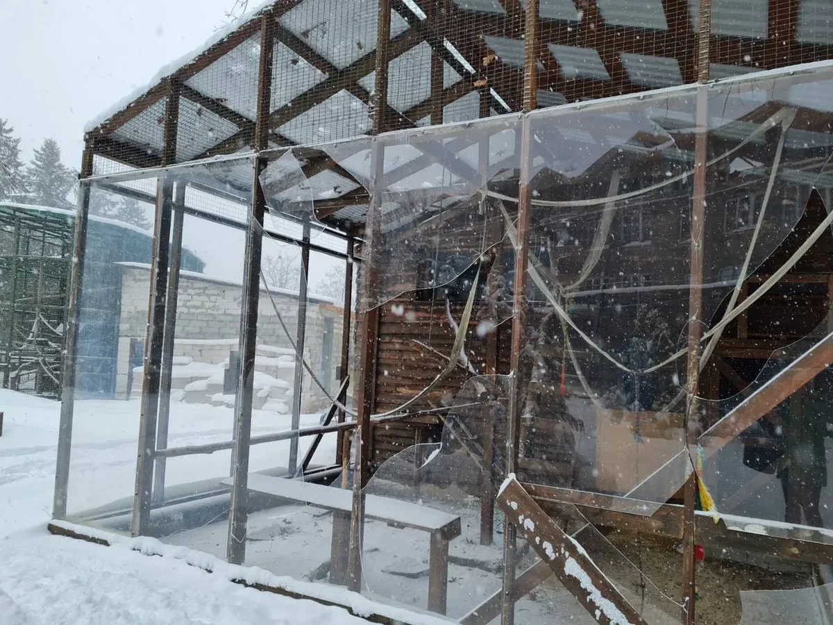 Последствия обстрела «Фельдман экопарка». Фото: feldman-ecopark.com