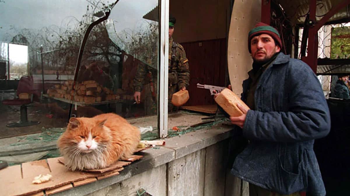 Чеченец покупает буханку хлеба в Грозном, 1 января 1995 года. Фото: Михаил Евстафьев / Wikimedia