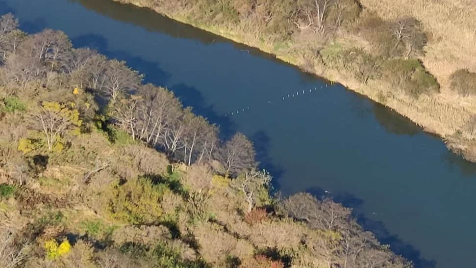 Фото предоставлено Приморрыбводом