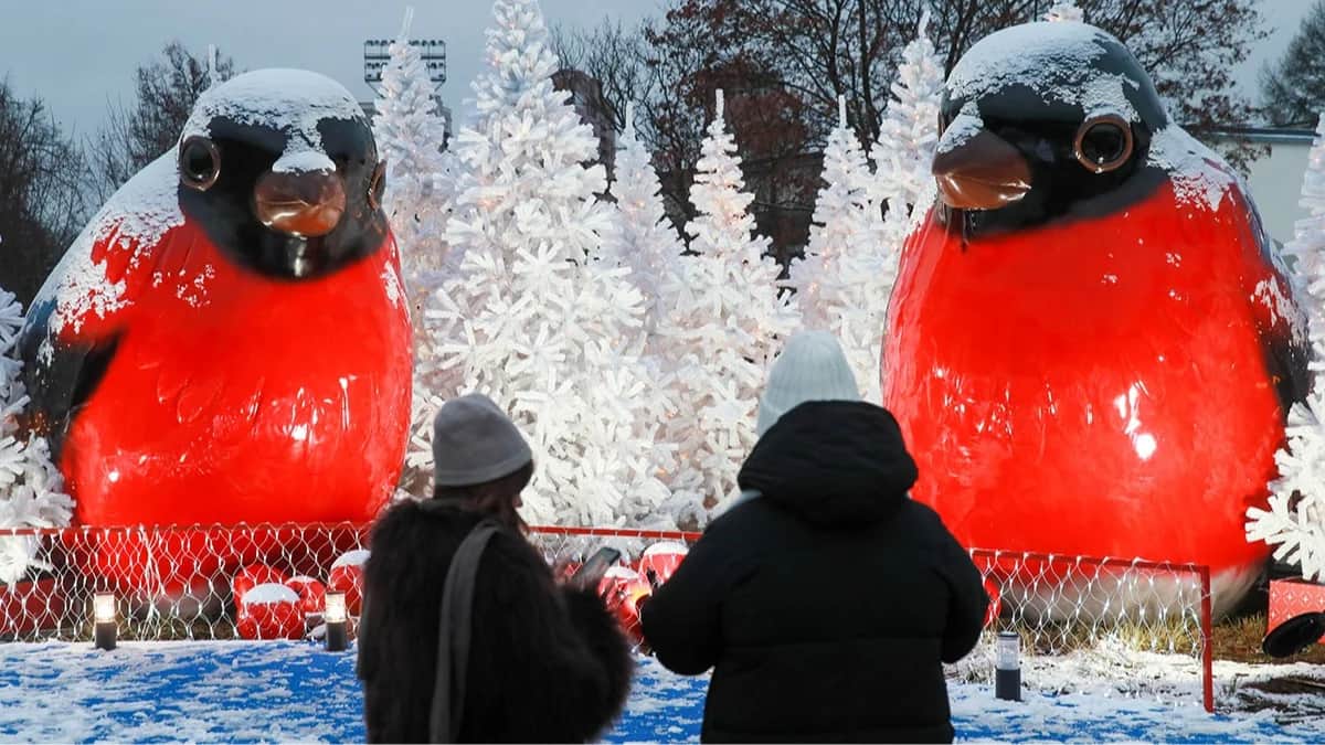 <div><div><div><div><div><div>Открытие новой сезонной локации фестиваля «Зима в Москве» на территории Московского дворца пионеров на Воробьевых горах, 10 декабря 2025 года. Фото: Василий Кузьмичёнок / Агентство «Москва»</div></div></div></div></div></div>