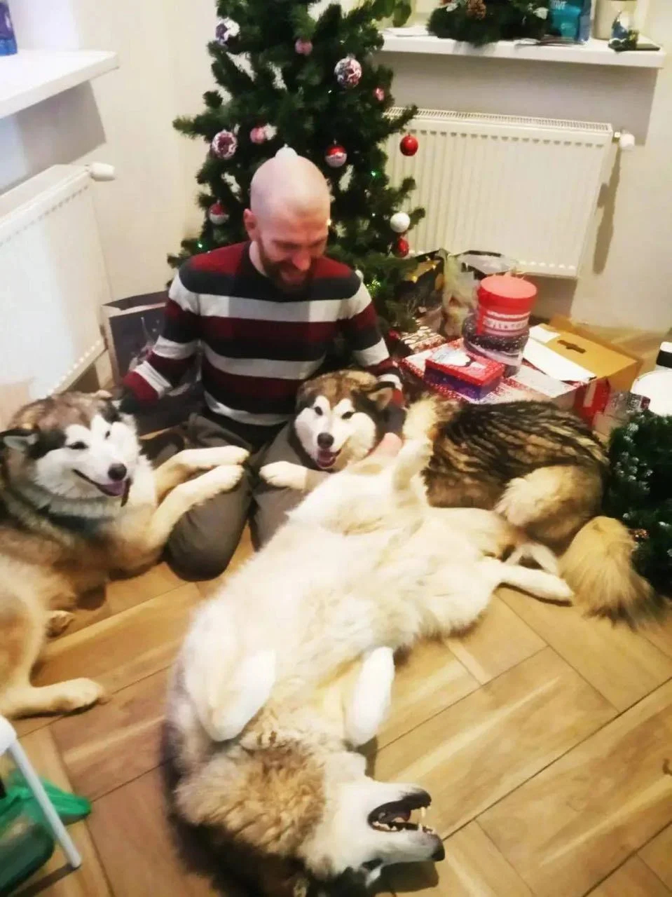 Yauhen with his Malamutes. Photo: family archive