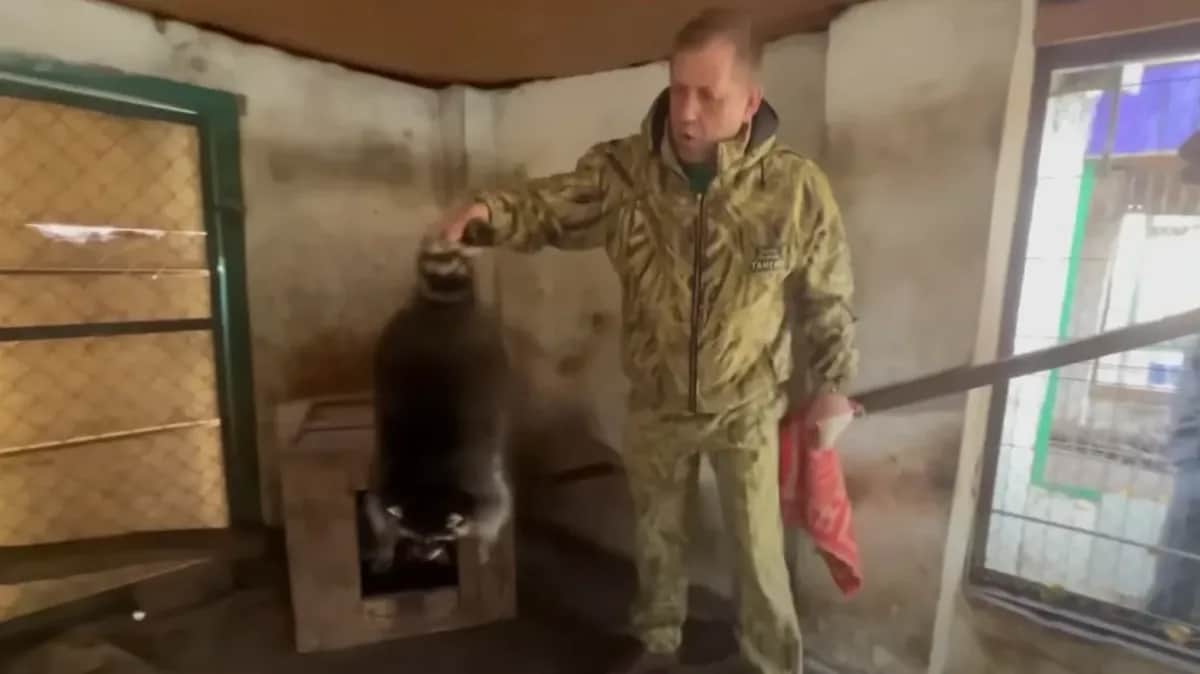 Олег Зубков. Фото: скрин видео