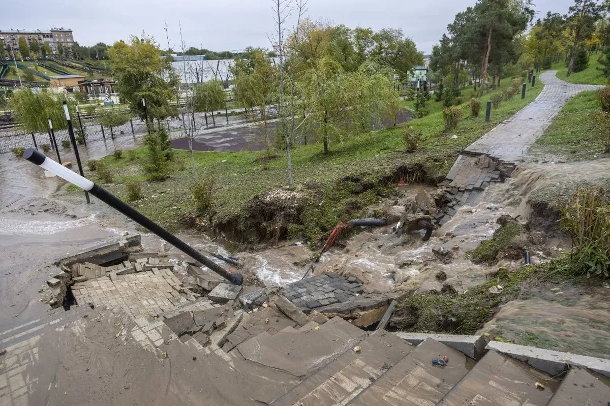 Фото: соцсети