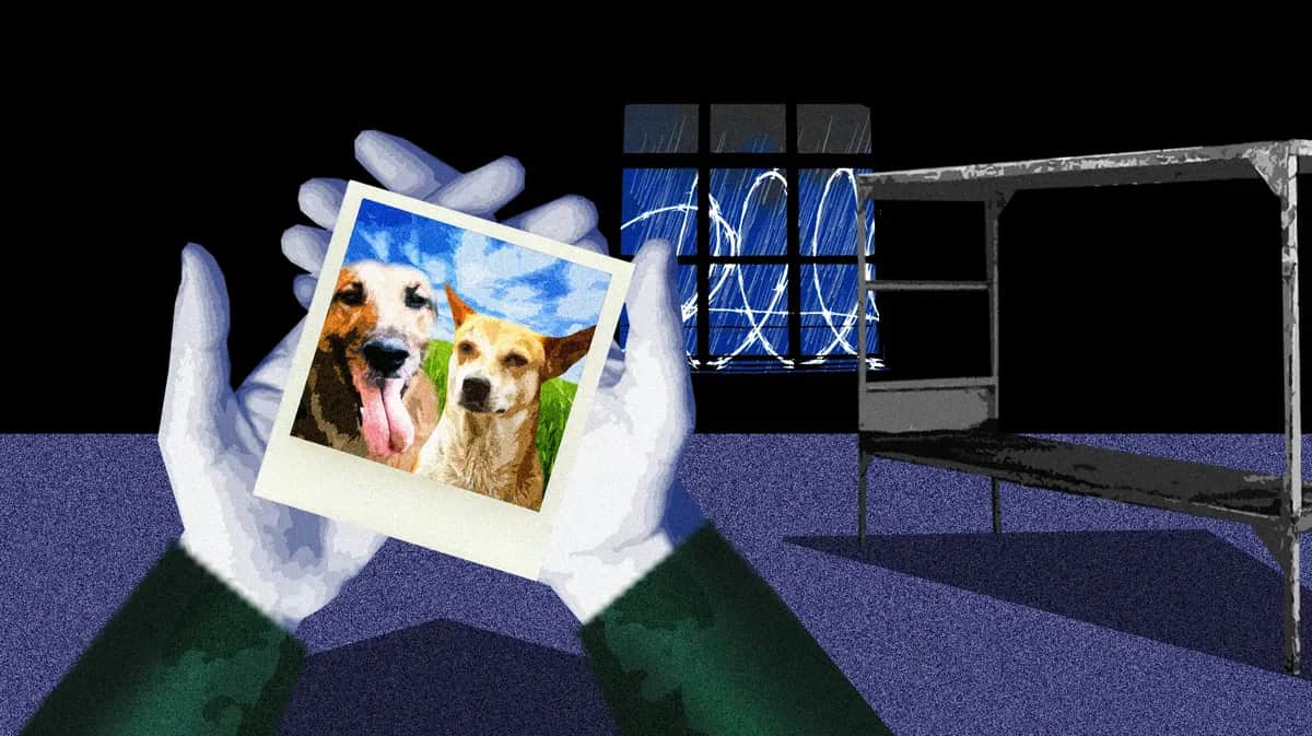 Illustration by Novaya Gazeta Europe