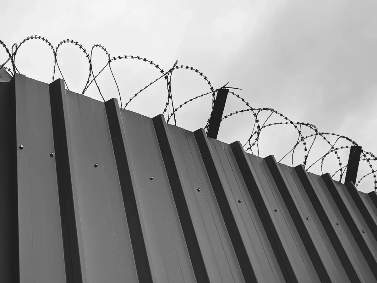 Фото: Sigmund / Unsplash