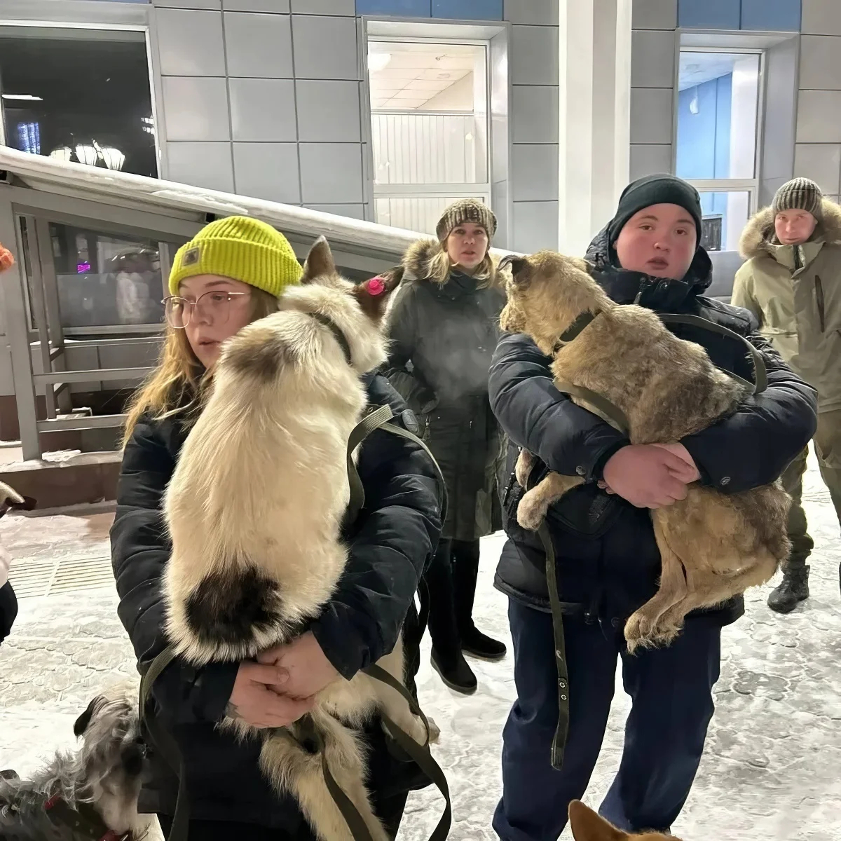 Волотнеры фонда «Собака счастья». Фото: VK 