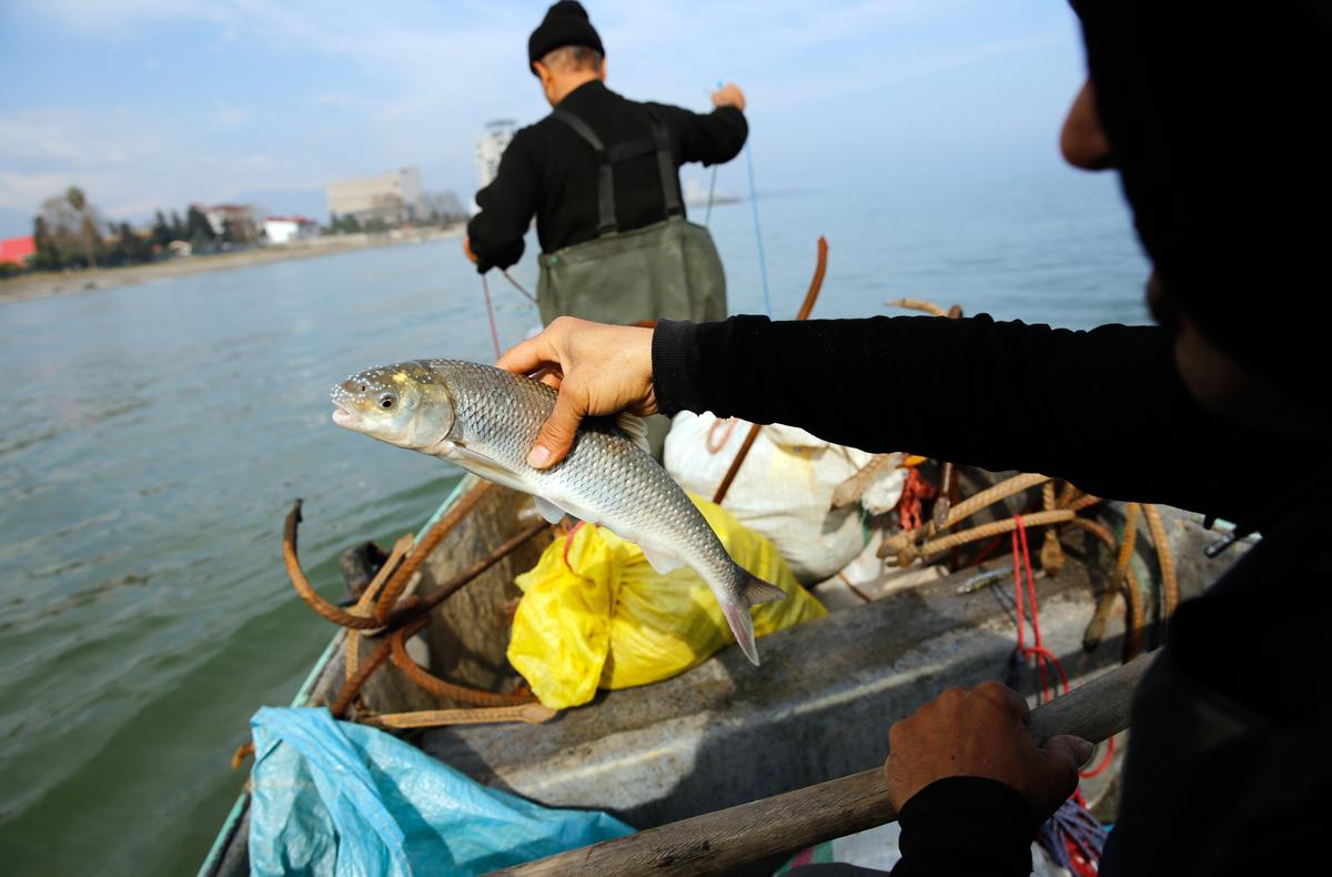 A fisherman holds up his catch off the coast of Iran’s Mazandaran province, 24 March 2019. Photo: EPA/ABEDIN TAHERKENAREH