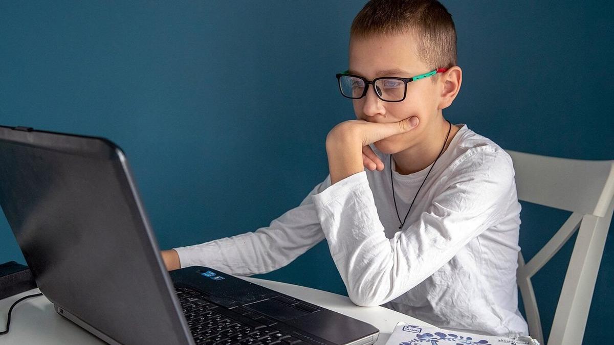 Свердловские власти начали мониторить соцсети школьников на предмет «запрещенного» контента